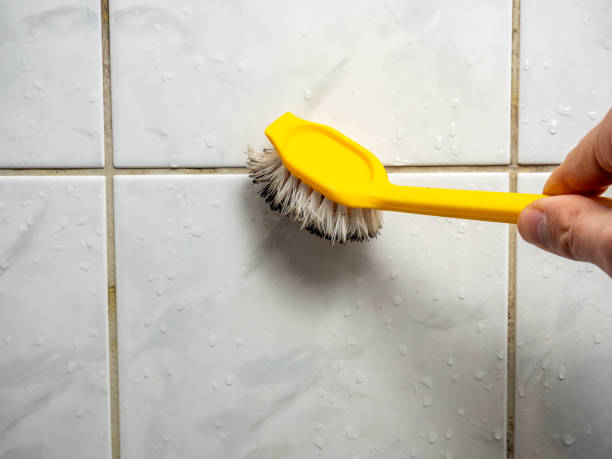 Best Mold Testing  in Peaceful Valley, WA