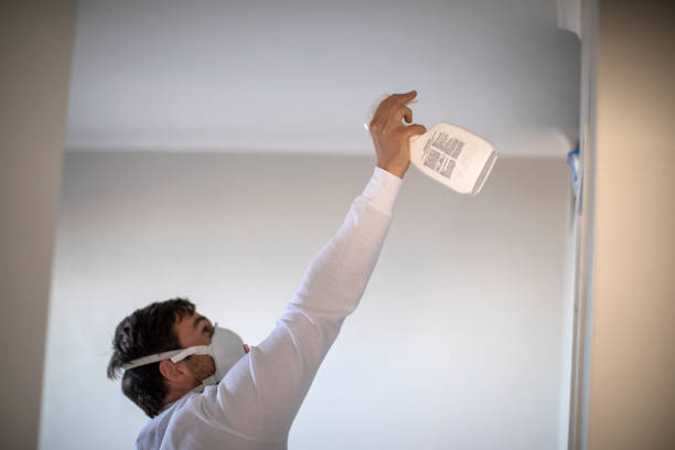 Best Residential Mold Removal  in Peaceful Valley, WA