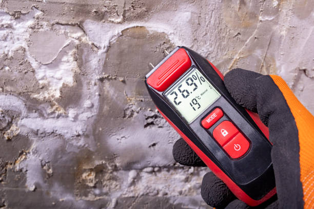Best Attic Mold Removal  in Peaceful Valley, WA