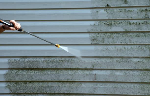 Best Mold Testing  in Peaceful Valley, WA