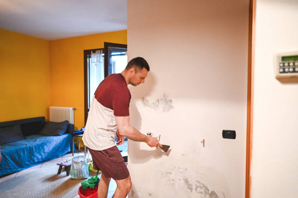 Best Mold Removal Near Me  in Peaceful Valley, WA